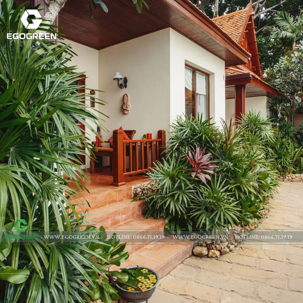 Tropical không phải là nhiều cây xanh!